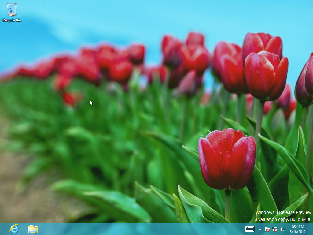 Windows 8 Release Preview (Build 8400) desktop