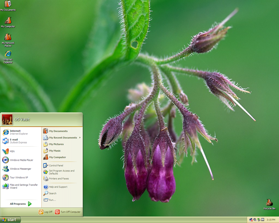 Flowers Theme for Windows XP